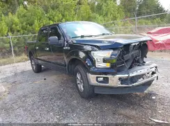 1FTEW1EG8HFB91952 2017 FORD F-150