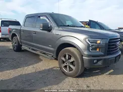 1FTEW1EG8HFC16851 2017 FORD F-150
