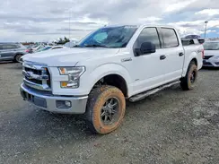 1FTEW1EG8HKD26225 2017 FORD F-150