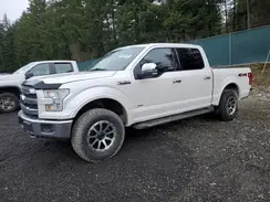 1FTEW1EG8HKE01117 2017 FORD F-150