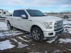 1FTEW1EG9GFB27417 2016 FORD F-150