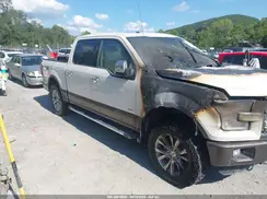 1FTEW1EG9GFB98195 2016 FORD F-150