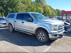 1FTEW1EG9GFC31342 2016 FORD F-150