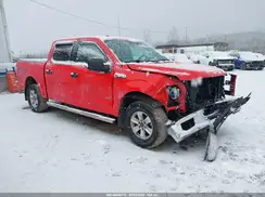 1FTEW1EG9GFC60193 2016 FORD F-150