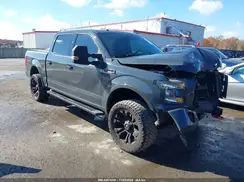 1FTEW1EG9GFD51612 2016 FORD F-150