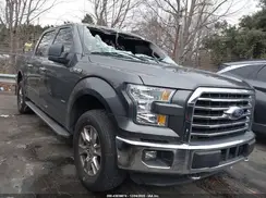 1FTEW1EG9GFD52355 2016 FORD F-150