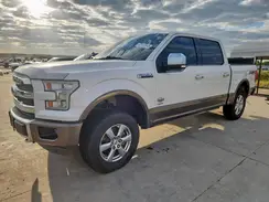 1FTEW1EG9HFA45169 2017 FORD F-150
