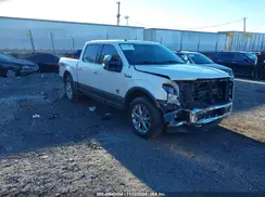 1FTEW1EG9HFA53773 2017 FORD F-150