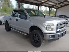 1FTEW1EG9HFA87504 2017 FORD F-150