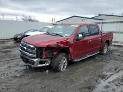 1FTEW1EG9HFB15902 2017 FORD F-150