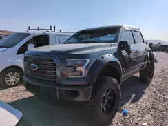 1FTEW1EG9HFB37317 2017 FORD F-150