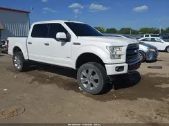 1FTEW1EG9HFB66395 2017 FORD F-150