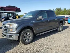1FTEW1EG9HKD08817 2017 FORD F-150