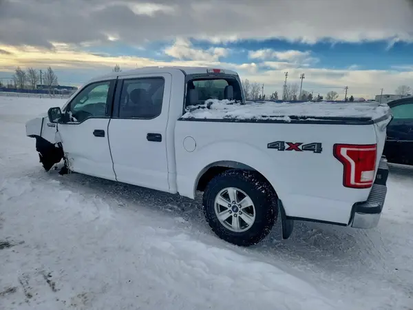 1FTEW1EG9HKD64157 2017 FORD F-150 - Image 2