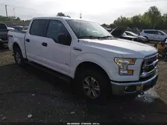 1FTEW1EGXGFA23101 2016 FORD F-150