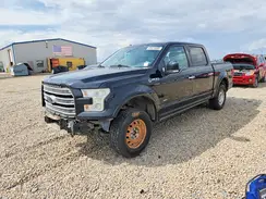 1FTEW1EGXGFC19135 2016 FORD F-150