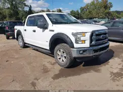 1FTEW1EGXGFC30765 2016 FORD F-150