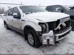 1FTEW1EGXGFC70764 2016 FORD F-150