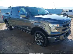 1FTEW1EGXGFD22507 2016 FORD F-150