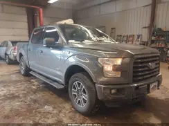 1FTEW1EGXGFD46516 2016 FORD F-150