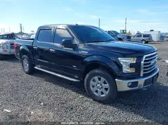 1FTEW1EGXGKE32822 2016 FORD F-150