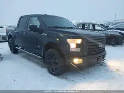 1FTEW1EGXGKF22679 2016 FORD F-150
