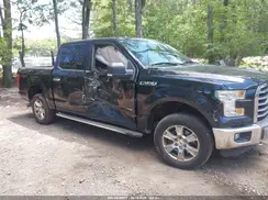 1FTEW1EGXGKF87886 2016 FORD F-150