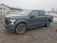 1FTEW1EGXHFB16072 2017 FORD F-150