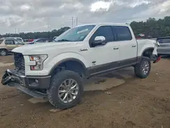 1FTEW1EGXHFB21319 2017 FORD F-150