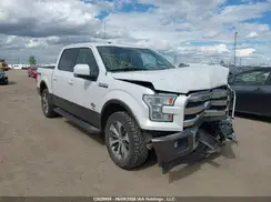 1FTEW1EGXHKD36335 2017 FORD F-150