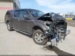 1FTEW1EP0GFB33557 2016 FORD F-150