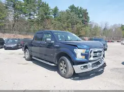 1FTEW1EP0GFB39648 2016 FORD F-150