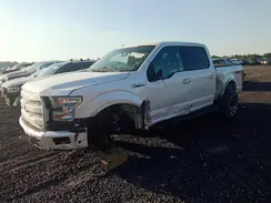 1FTEW1EP0GFB40251 2016 FORD F-150