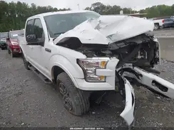 1FTEW1EP0GFB92396 2016 FORD F-150