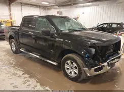1FTEW1EP0GFC30659 2016 FORD F-150