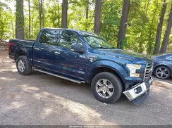 1FTEW1EP0GFC56131 2016 FORD F-150