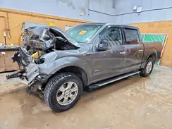 1FTEW1EP0GFD53202 2016 FORD F-150