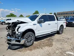 1FTEW1EP0GKD76499 2016 FORD F-150