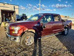 1FTEW1EP0HFB10555 2017 FORD F-150
