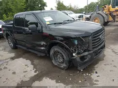 1FTEW1EP0HFB20437 2017 FORD F-150