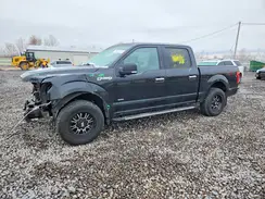 1FTEW1EP0HFB32300 2017 FORD F-150