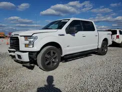 1FTEW1EP0HFC51187 2017 FORD F-150