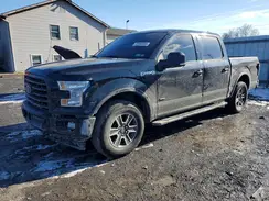 1FTEW1EP0HKD52169 2017 FORD F-150