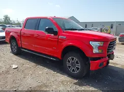 1FTEW1EP0HKD92204 2017 FORD F-150