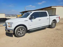 1FTEW1EP0HKD98598 2017 FORD F-150