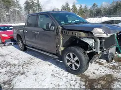 1FTEW1EP0KFB55678 2019 FORD F-150