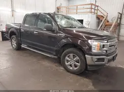 1FTEW1EP0KKD12875 2019 FORD F-150