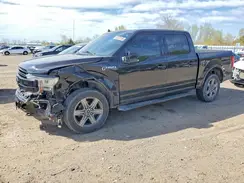 1FTEW1EP0KKE53669 2019 FORD F-150