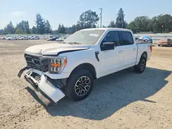 1FTEW1EP0PFD33922 2023 FORD F-150