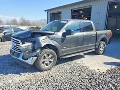 1FTEW1EP1GFA12729 2016 FORD F-150